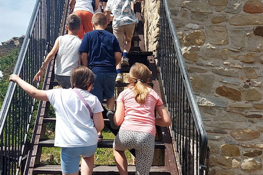 20250623_135420_resized-—-kopia