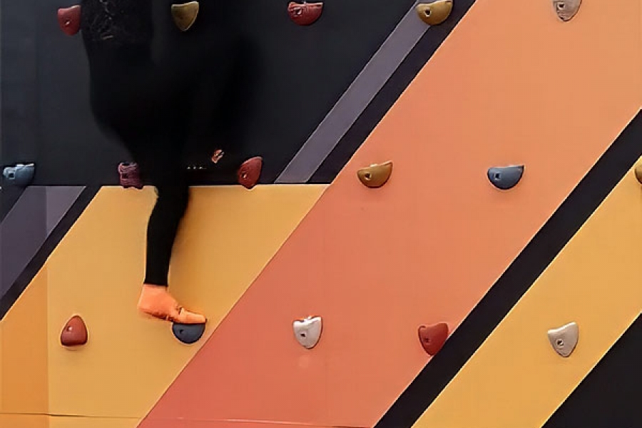 IMG_20241007_143730471