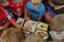 IMG_20260608_103602