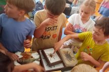 IMG_20260608_103655