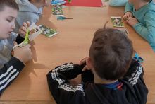 IMG_20250319_114933_017