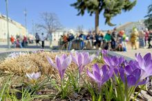 IMG_20250321_112633_073